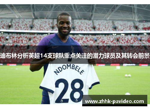 迪布林分析英超14支球队重点关注的潜力球员及其转会前景